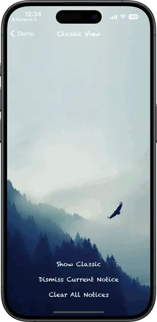 Mockup 1